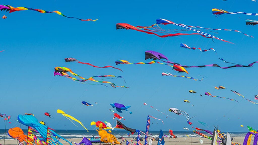 international kite festival, Information by occasionallyimages